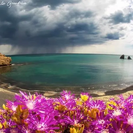 Joli T2 Plage De La Conque Cap D'Agde * Agde